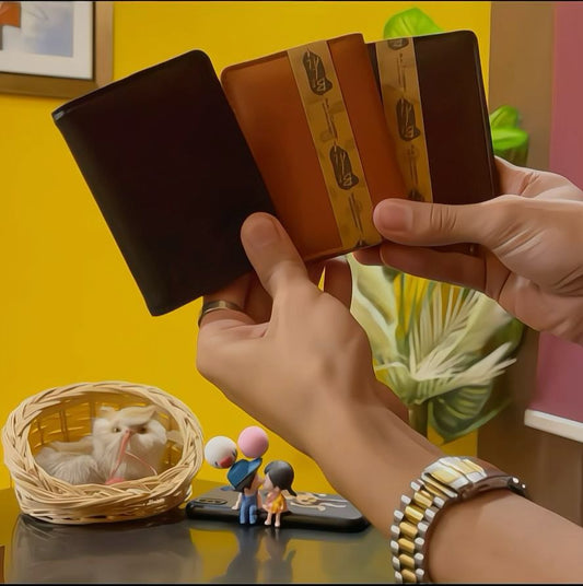 Mini Wallet Plus Card Holder With Magnetic Button - Collection of Businessman